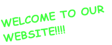 WELCOME TO OUR  WEBSITE!!!!